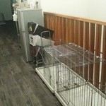 メゾンドブラン - ケージの用意も