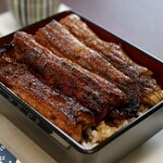 炭焼うなぎ 加茂 - 