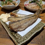 居酒屋 やま福 - 