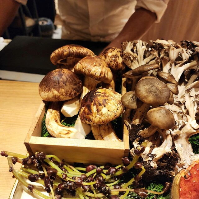 Shumoku Cho Shimizu photo 5