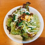 ブロッコリ - セットのサラダ