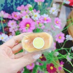 ジェラテリア カドーレ - 