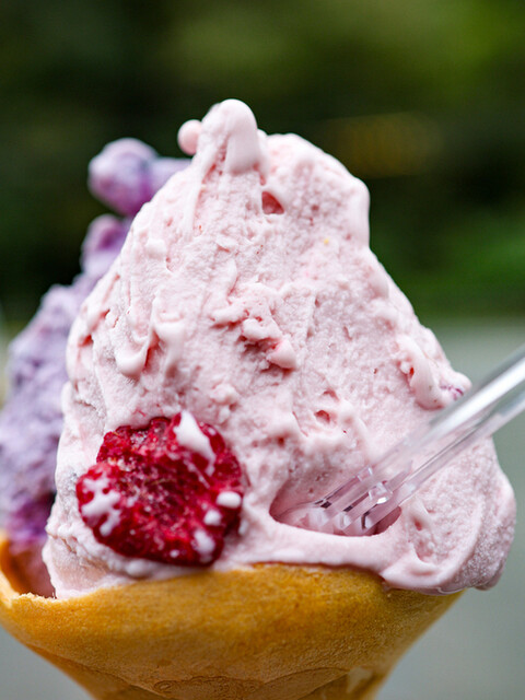 まきばのジャージー - 霊山町その他（ジェラート・アイスクリーム）の写真