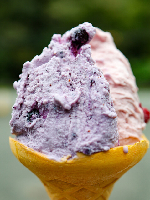 まきばのジャージー &ndash; 霊山町のジェラート・アイスクリーム店【福島・伊達市】