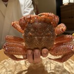 かにじぇんぬ　麻布 - 