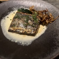 CONNESSO okazaki -  CONNESSO okazaki -