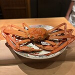 新日本料理おぶね - 
