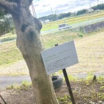 循環体験 リマテカフェ - 循環スポットがたくさんあります★ タイヤブランコ乗りたかったけど、1人だったので笑