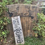 ワンポイント - 