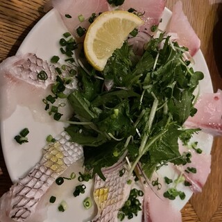 おさかなパンダ オサカナバルPANDA (@osakanabar.panda) · Kofu-shi, Yamanashi