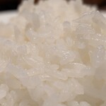 ハンバーグステーキ jumbo - ご飯ツヤツヤで美味しかった〜(⁠≧⁠▽⁠≦⁠)
      もっと食べれたなぁ