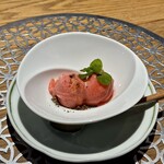 野乃庵 - 旬野菜の野々庵コース(￥6,600)　気まぐれデザート　プラムといちごのシャーベット