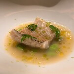 レフェルヴェソンス - 