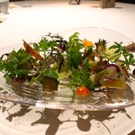 レフェルヴェソンス - 