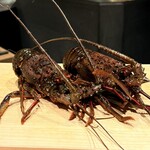 鮨処 一石三鳥 - 