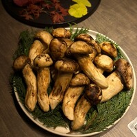 USHIGORO S. NISHIAZABU - 