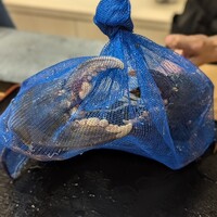 日本料理 みや  - 