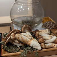 日本料理 みや  - 