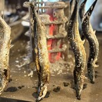 炉端割烹 炭なじ - 不味いわけない。完璧な炙り秋刀魚