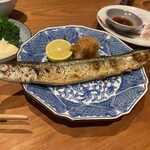 ヒロカワテーラー - 