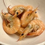 酒肴 こだるま - 