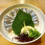 魚将　さかなちゃん - 