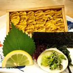 魚将　さかなちゃん - 