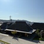 ざいごうどん 本家 わら家 - 