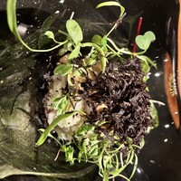 WINE食堂 緒乃 - 