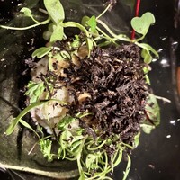 WINE食堂 緒乃 - 