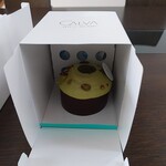 CALVA - アマレナピスターシュ包装