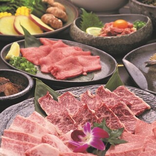 お肉も海鮮も楽しめる！多彩なコースで幅広いニーズに対応