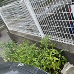 インデアンレストラン  ニューミラ - 