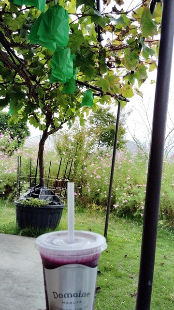 アンテナショップ 葡萄の杜 まるた - 山下（ジューススタンド）の写真