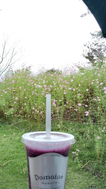 アンテナショップ 葡萄の杜 まるた - 山下（ジューススタンド）の写真