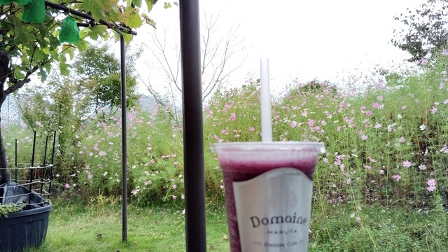 アンテナショップ 葡萄の杜 まるた - 山下（ジューススタンド）の写真