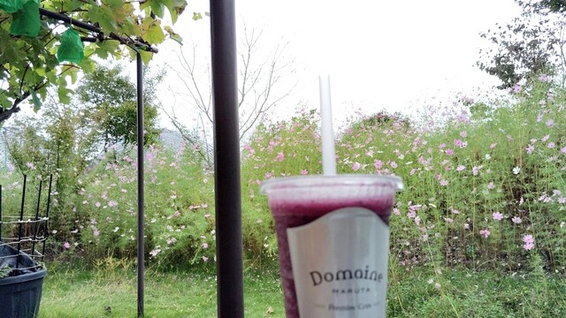 アンテナショップ 葡萄の杜 まるた - 山下（ジューススタンド）の写真