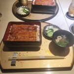 うなぎ 目白ぞろ芽 - 