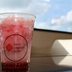 카메리아 - ベリーソーダ