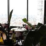 ブラッスリーオザミ - 