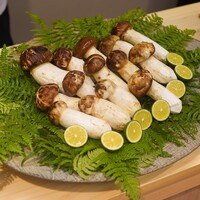 柚木元 - 朝どれ松茸