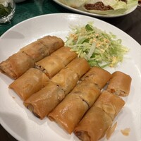 雅苑酒家 本店 -  雅苑酒家 本店 -