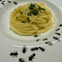 インフィニート ヒロ - 