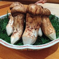 たきや - 