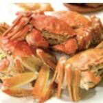 老上海 香蔵 - 料理写真: