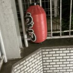 うどんスナック 松ト麦 - 