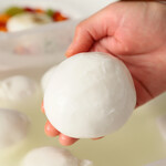 オステリア エ ボッテガ エッセ - 