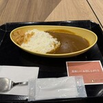 博多カレー研究所 博多とんこつあごだしカレー - あごだしカレー