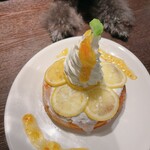 ANEA CAFE Toyosu - 