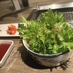 代官山焼肉 kintan - サラダ